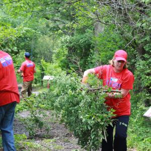 United Way of the Southern Tier Day of Action volunteers help clear a trail at Tanglewood Nature Center in Big Flats. 